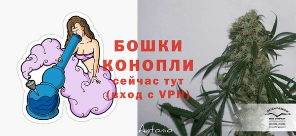 трава Аркадак